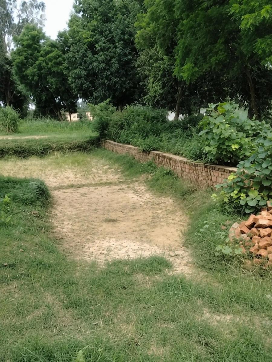 Plot in Shivpur